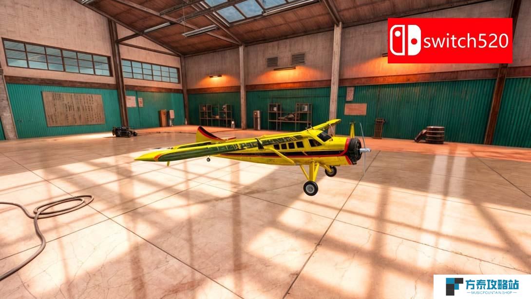【美版】飞行模拟器Pro 2024 .Flight Simulator Pro 2024 英语_6